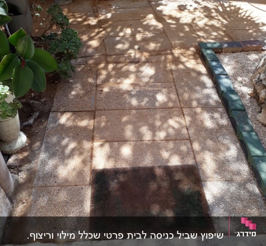 שביל מרוצף עם אריחים, צמחייה מסביב